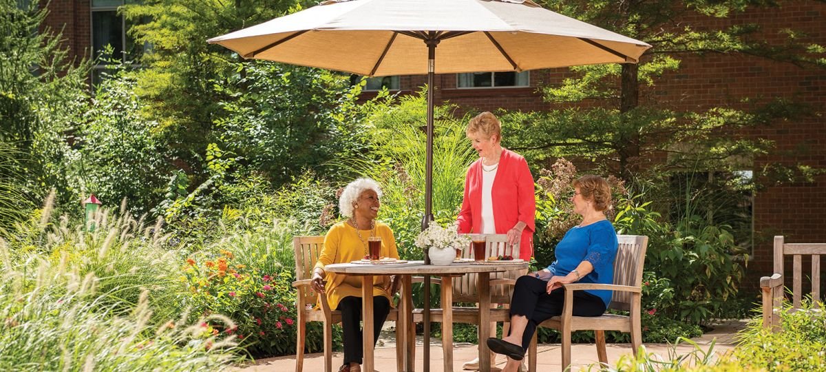 Get Your Free Ashby Ponds Brochure