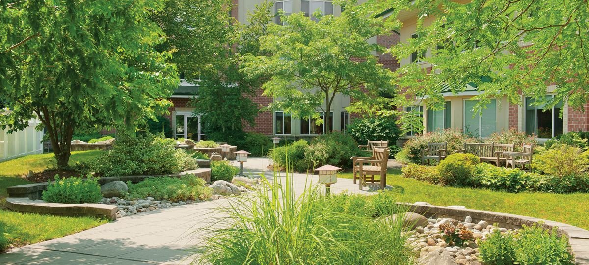 Beautiful tree lined walkway on the Seabrook campus.