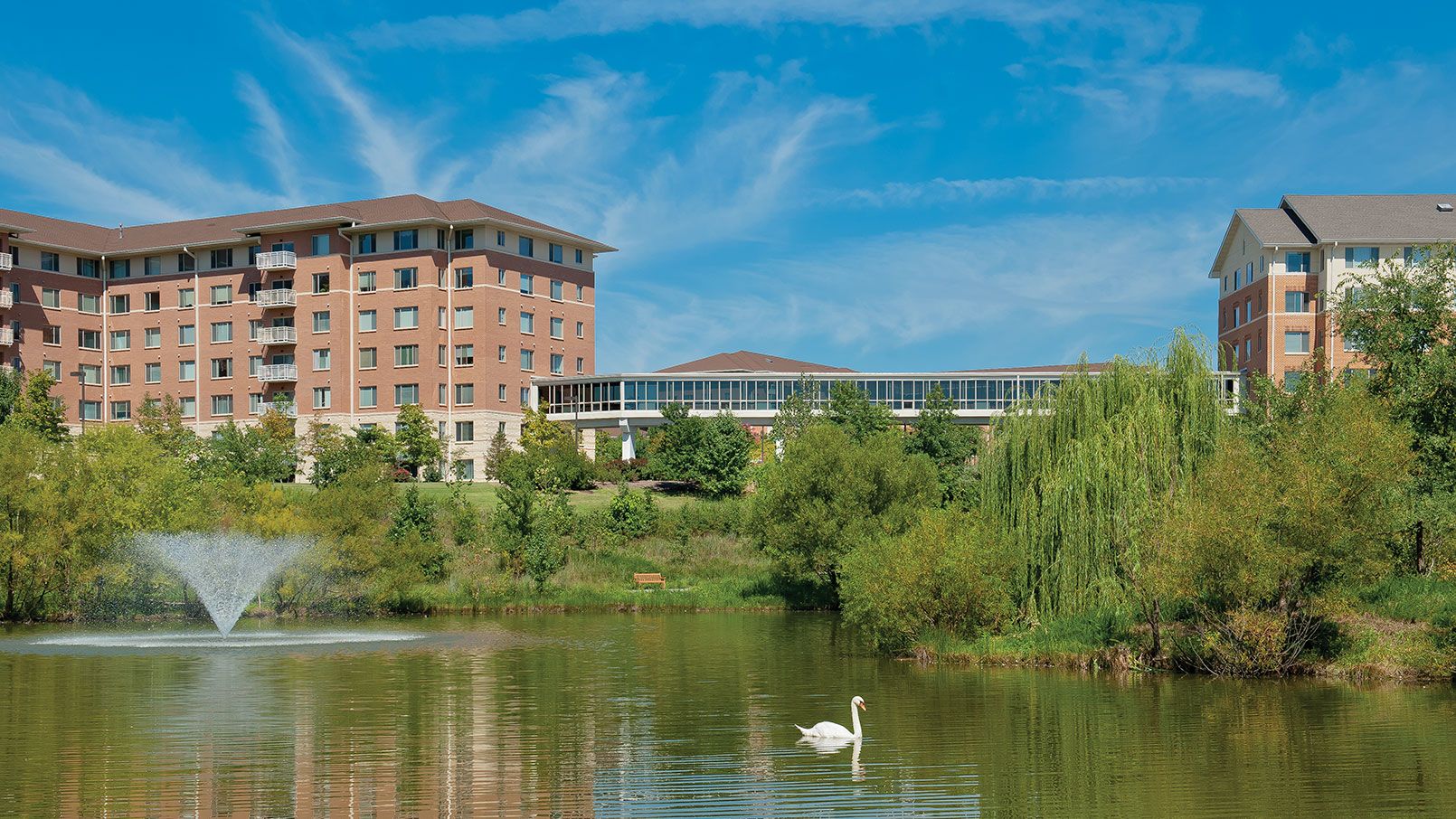 Riderwood Senior Living